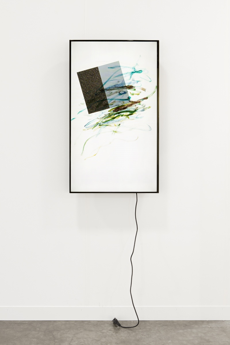 Ken Okiishi, gesture/data (feedback), 2015