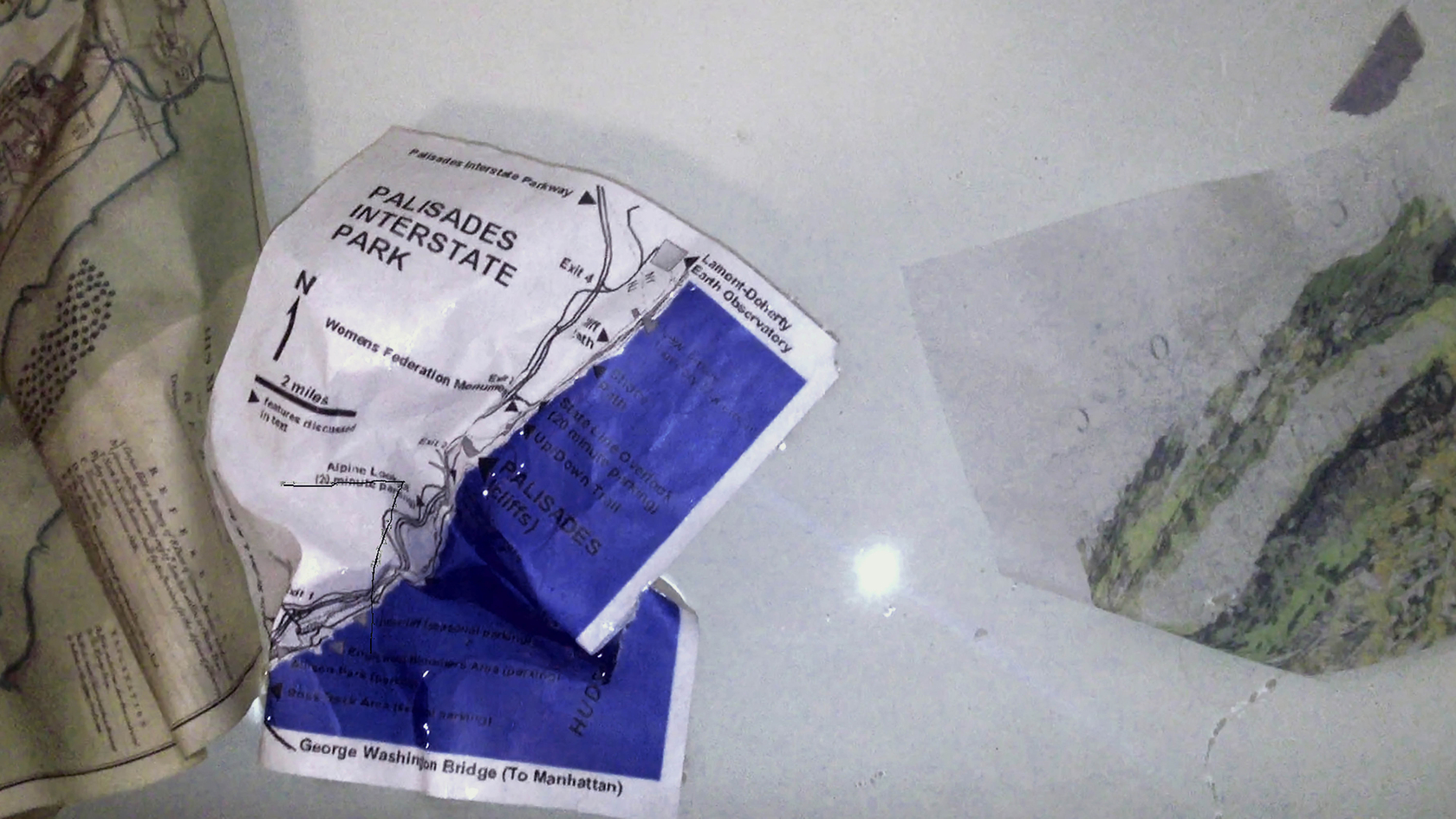 Rachel Rose Palisades in Palisades2014 HD Video 10’29”