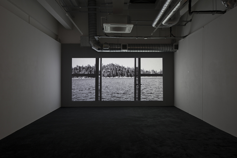 John Skoog: Shadowland, Pilar Corrias, London, 6 March - 17 April 2015