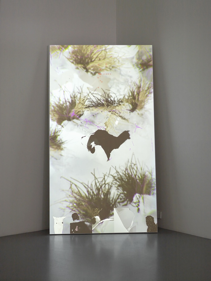 Phantom Limbs, Pilar Corrias, London, 27 June - 1 August 2014