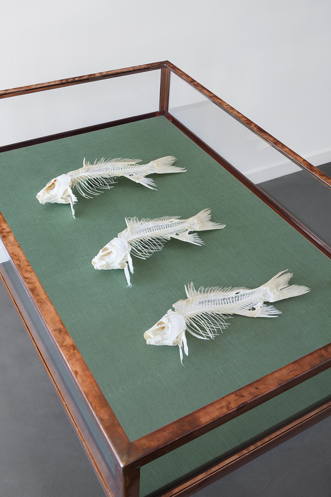 Matti Braun, Untitled, 2008