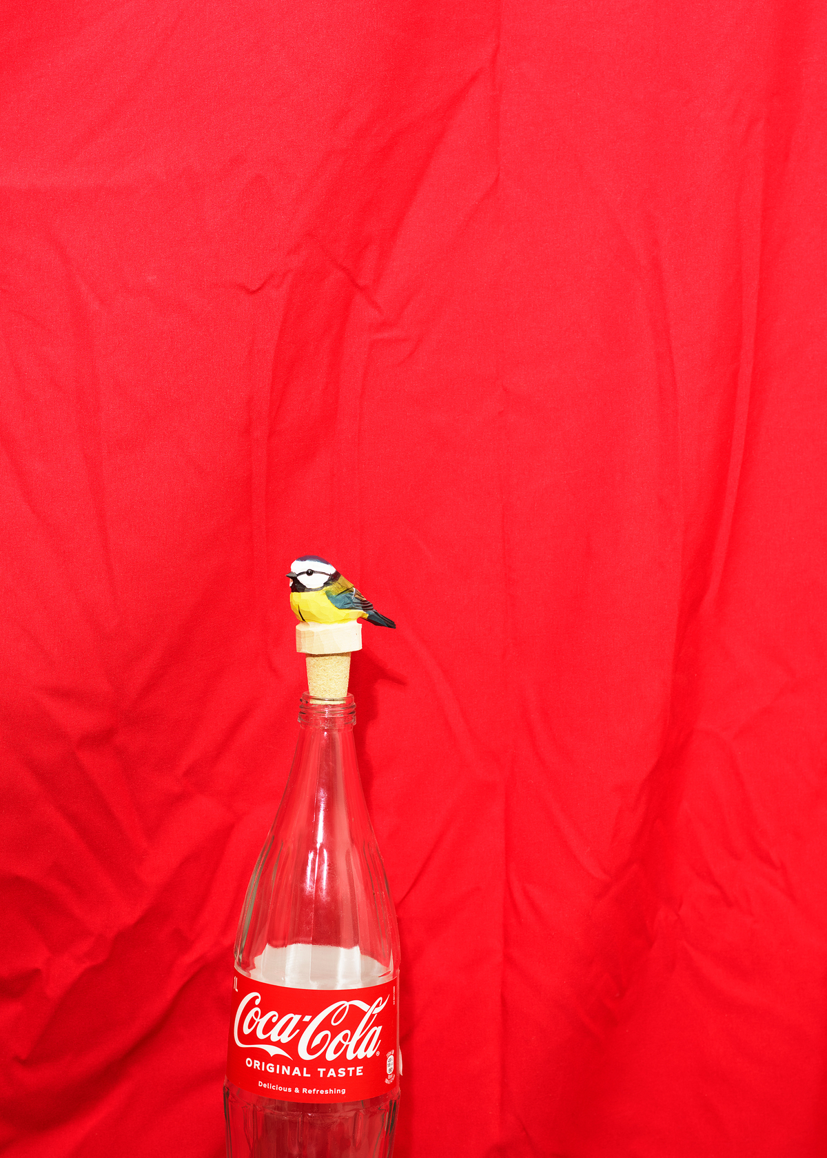 Annette Kelm, Cola Meise, 2024