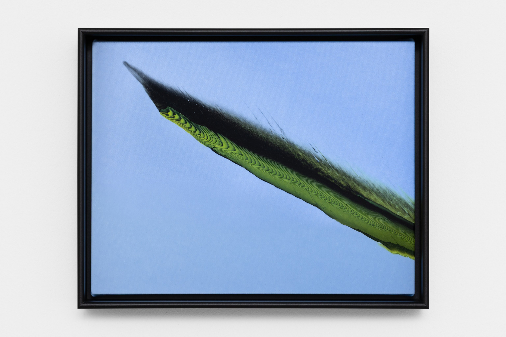 Tauba Auerbach, Extended Object, 2025