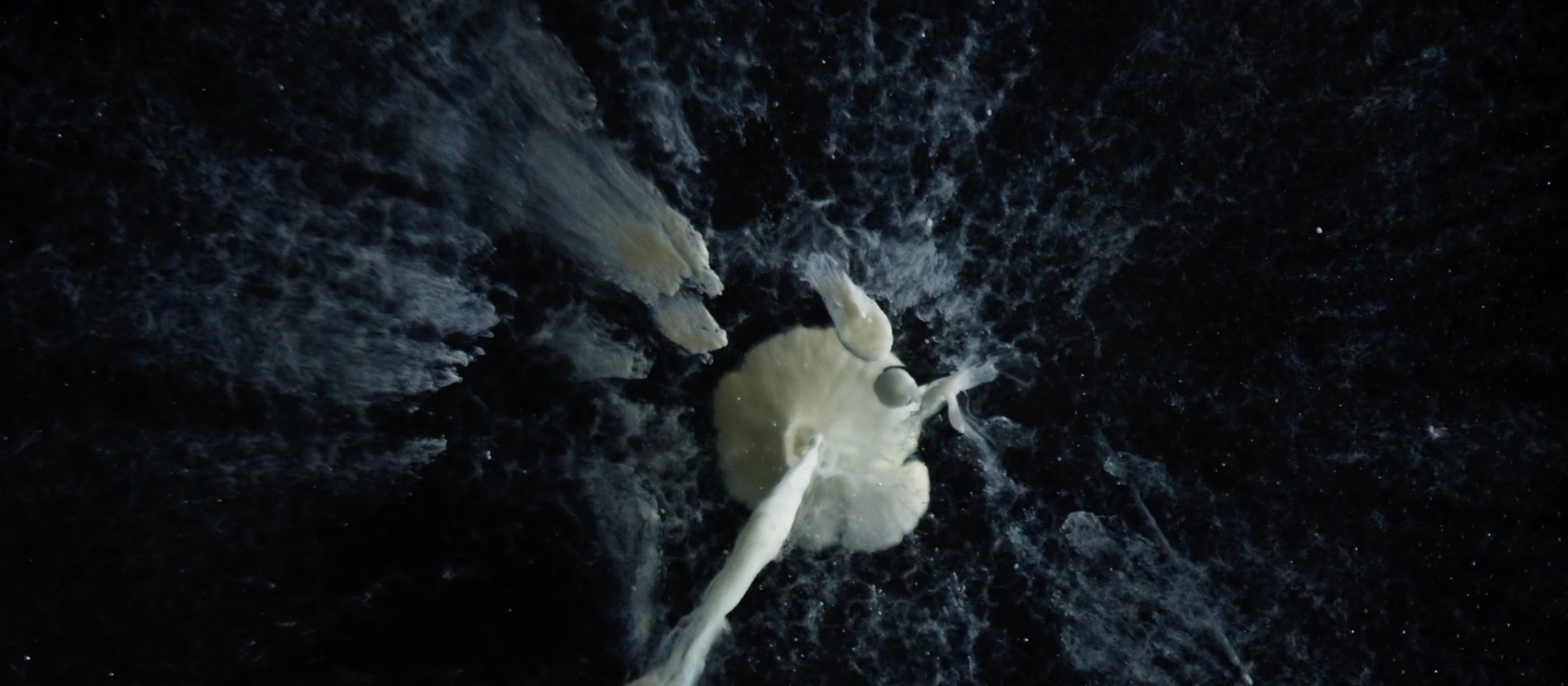 Philippe Parreno, Anywhen, 2024