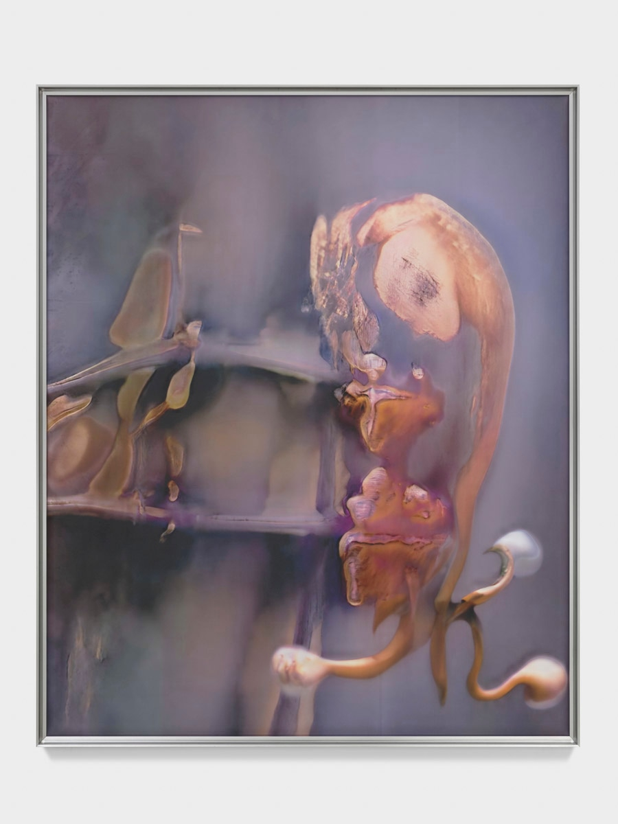 Anicka Yi, LKñL§RHR†ßñ§, 2023