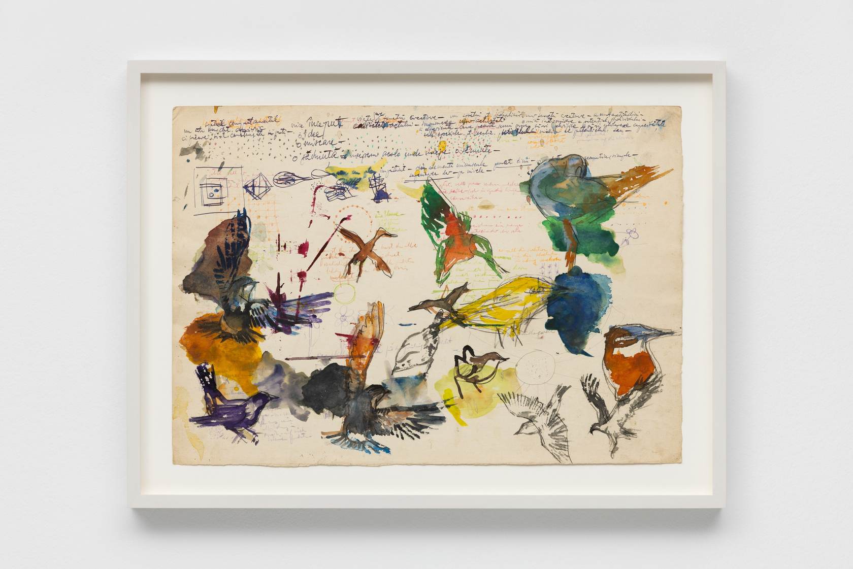 Stefan Bertalan Untitled (Studies of Birds), 1981