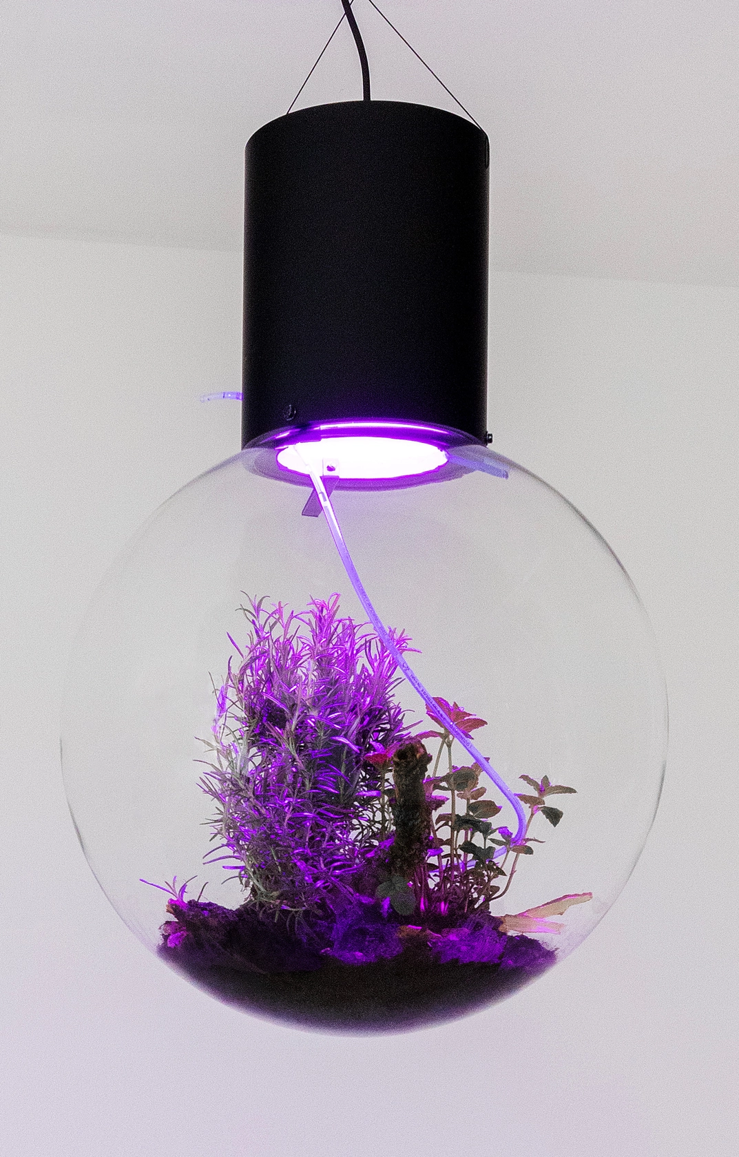 Hito Steyerl, Animal Spirits: Herb Sphere, 2023