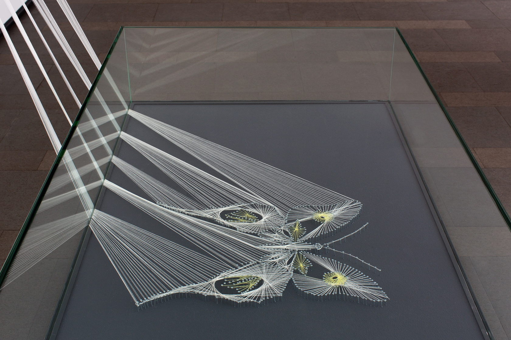 Exhibition view, Kontrastbed&uuml;rfnis, Ernst Balach Haus, Hamburg, 2014