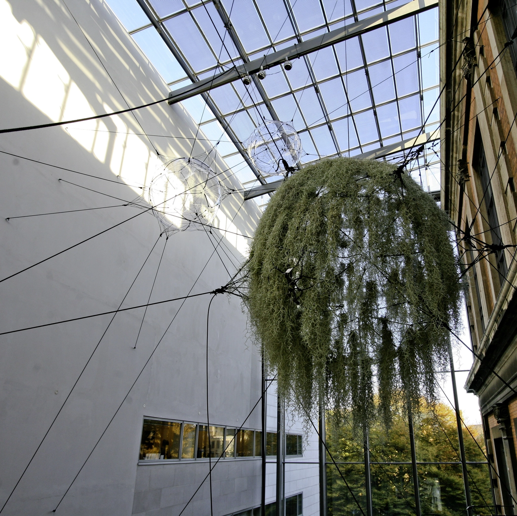Biosphere, 2009 Acrylic, inflatable modules, bowls filled with water and tillandsia plants, moss, elastic cords, carbon fibre, water dripping system,...