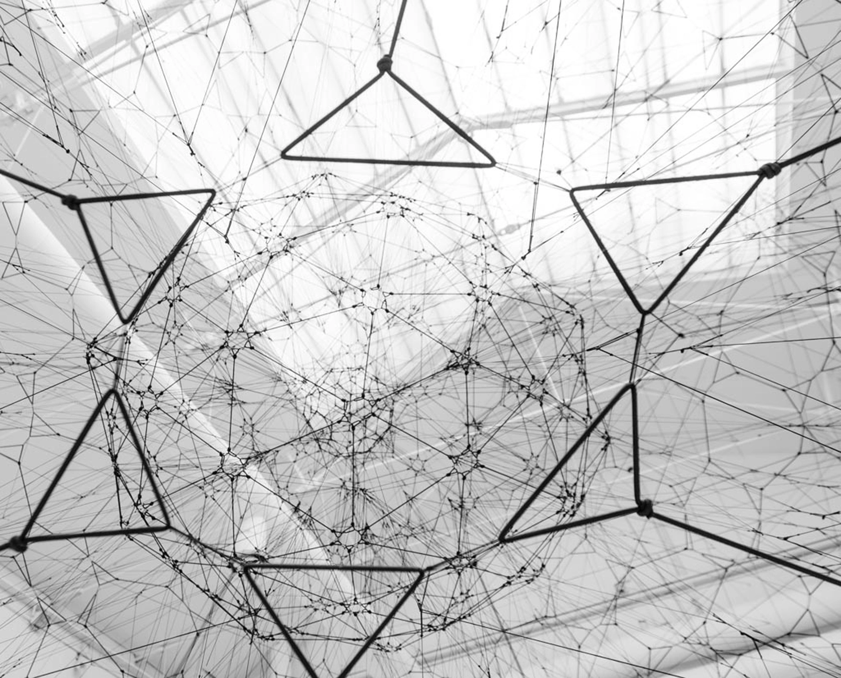 Galaxies Forming Along Filaments, Like Droplets Along the Strands of a Spider's Web, 2009 Elastic ropes Photo &copy; Alessandro Coco