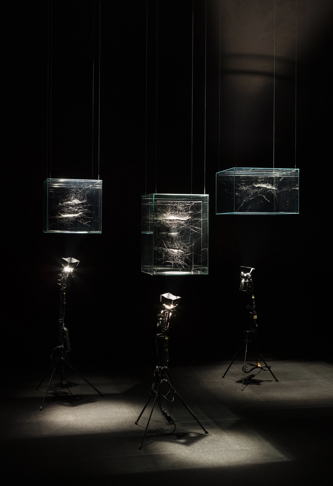 Exhibition view 163,000 Light years, 2016 Museo de Arte Contemporaneo, Monterrey Photo © Andrea Rossetti