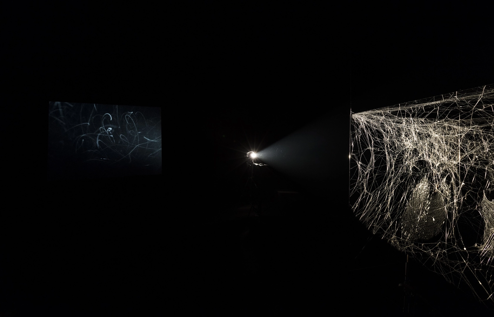 Arachno Concert With Arachne (Nephila senegalensis), Cosmic Dust (Porus Chondrite) and the Breathing Ensemble, 2016 Nephila senegalensis silk, carbon frame,...