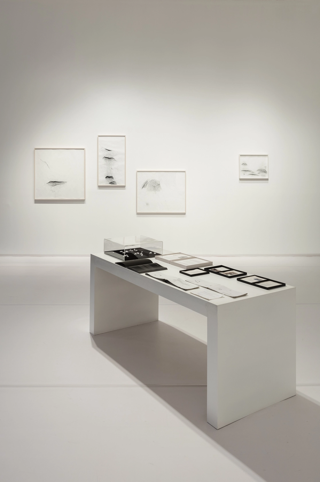 Exhibition view 163,000 Light years, 2016 Museo de Arte Contemporaneo, Monterrey Photo © Andrea Rossetti