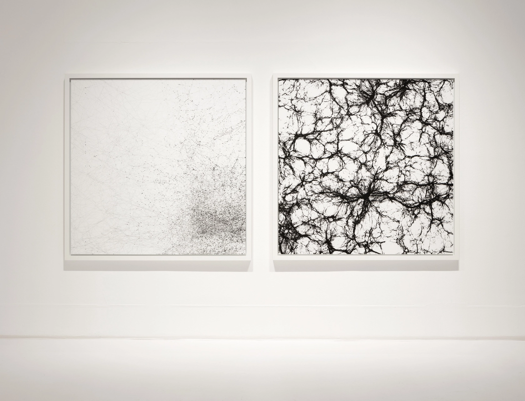 Cosmic Filaments, 2013 (on the wall) Diptych, inkjet print, mounted on Dibond Photo © Andrea Rossetti