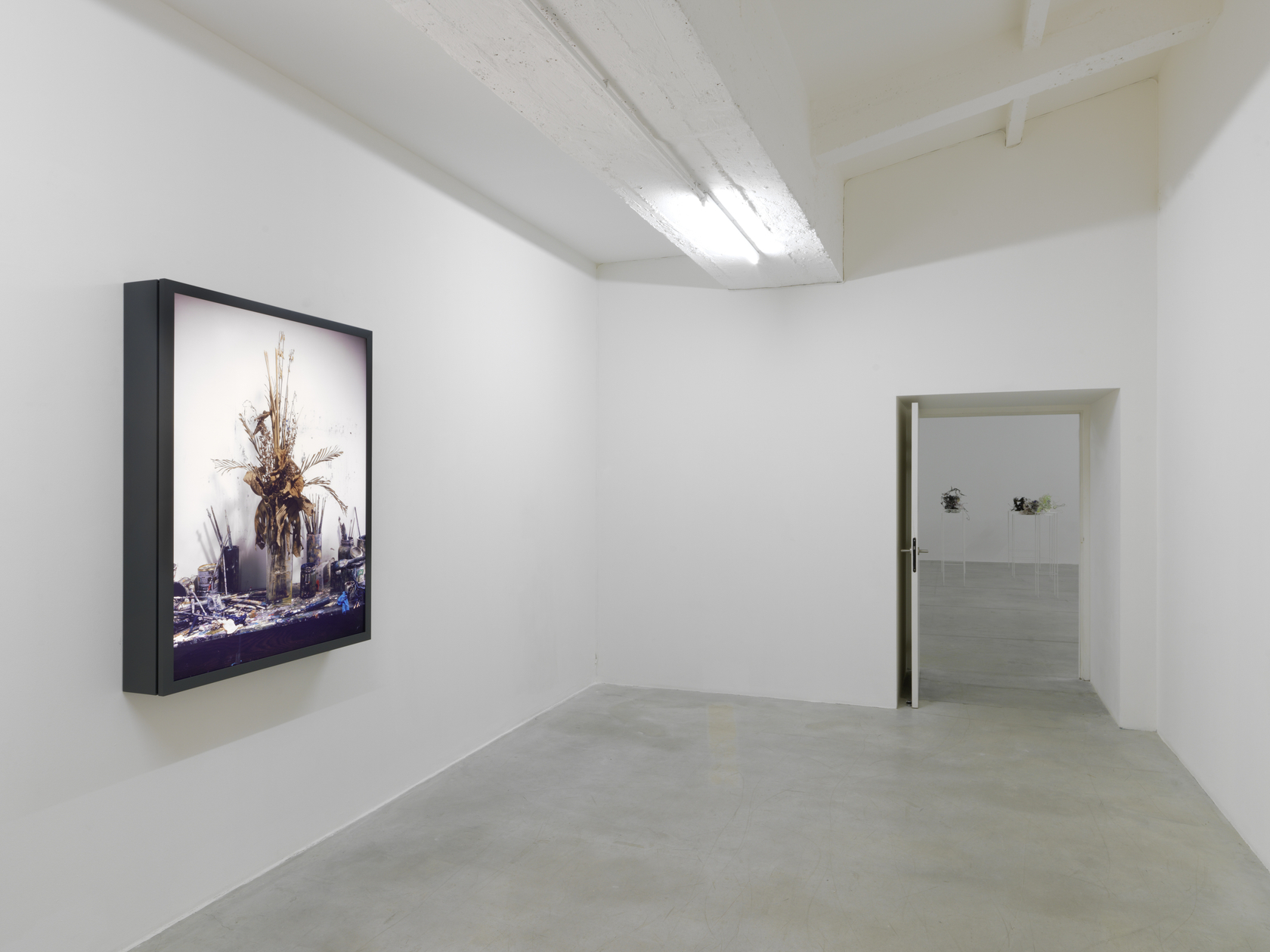 Exhibition view Rodney Graham: You should be an artist, 2016&ndash;17 Le Consortium, Dijon Photo &copy; Andr&eacute; Morin