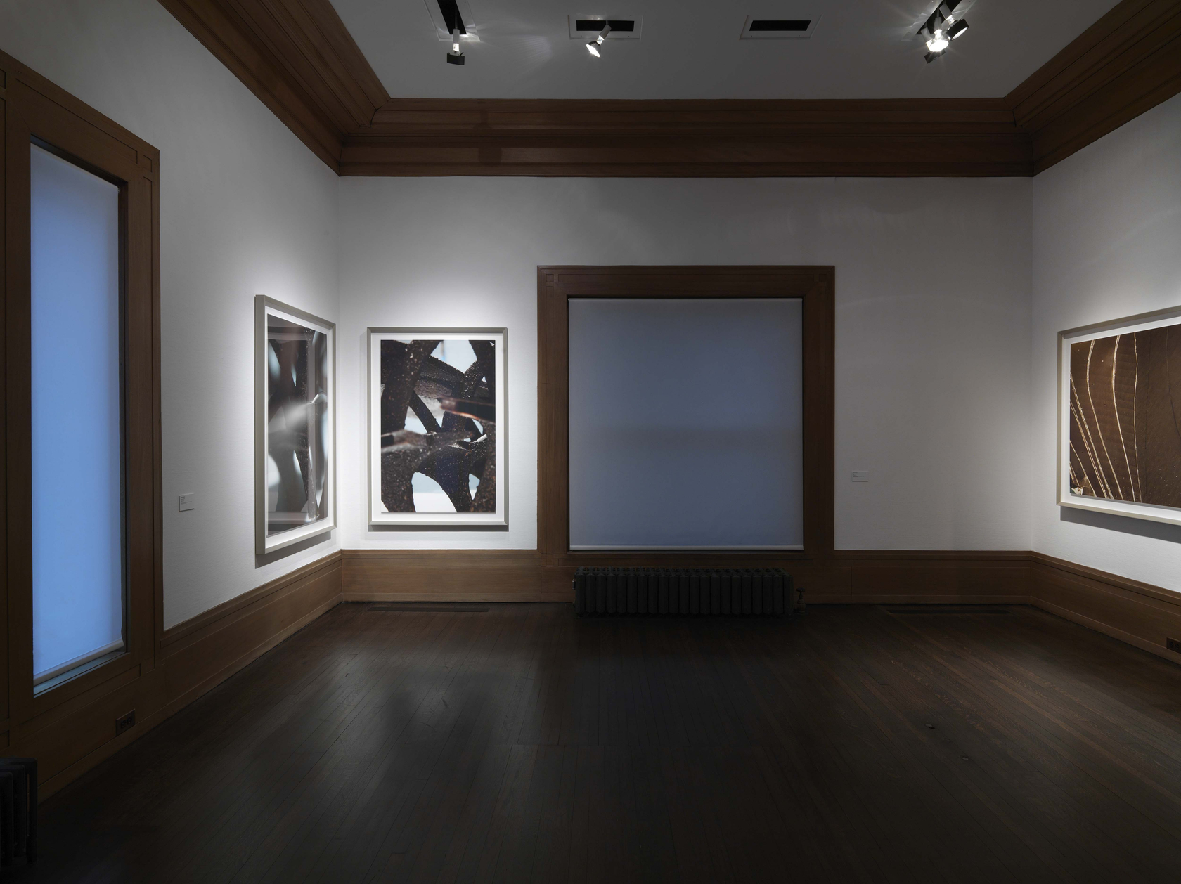 From left to right: Franklyn #53, 2011 Franklyn #61, 2011 Concannon #37, 2011 All works: pigment prints The Model Studies...