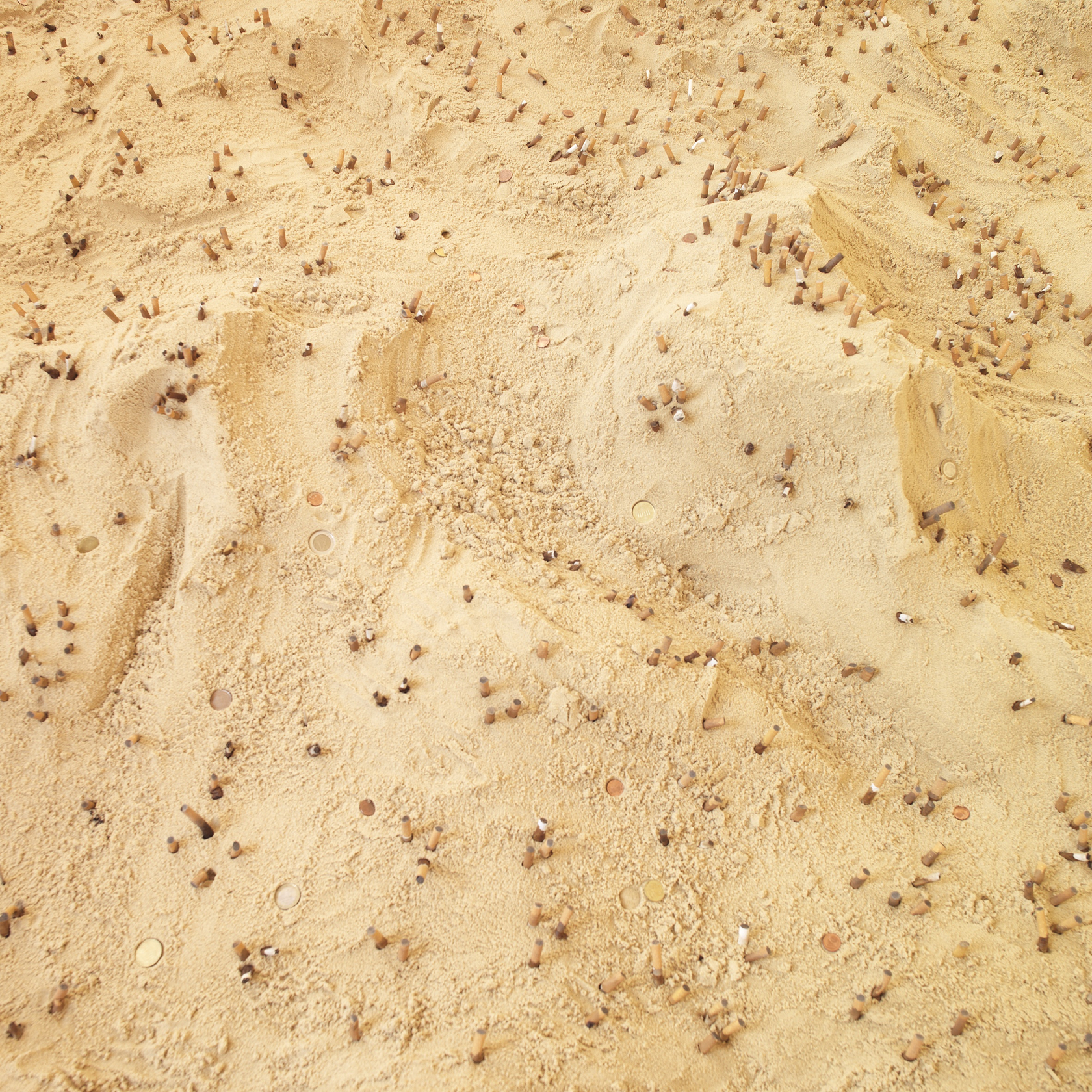 Donation Box, 2010 Sand, cigarette butts, coins This sculpture borrows from the narrative elements of our everyday lives, as a...