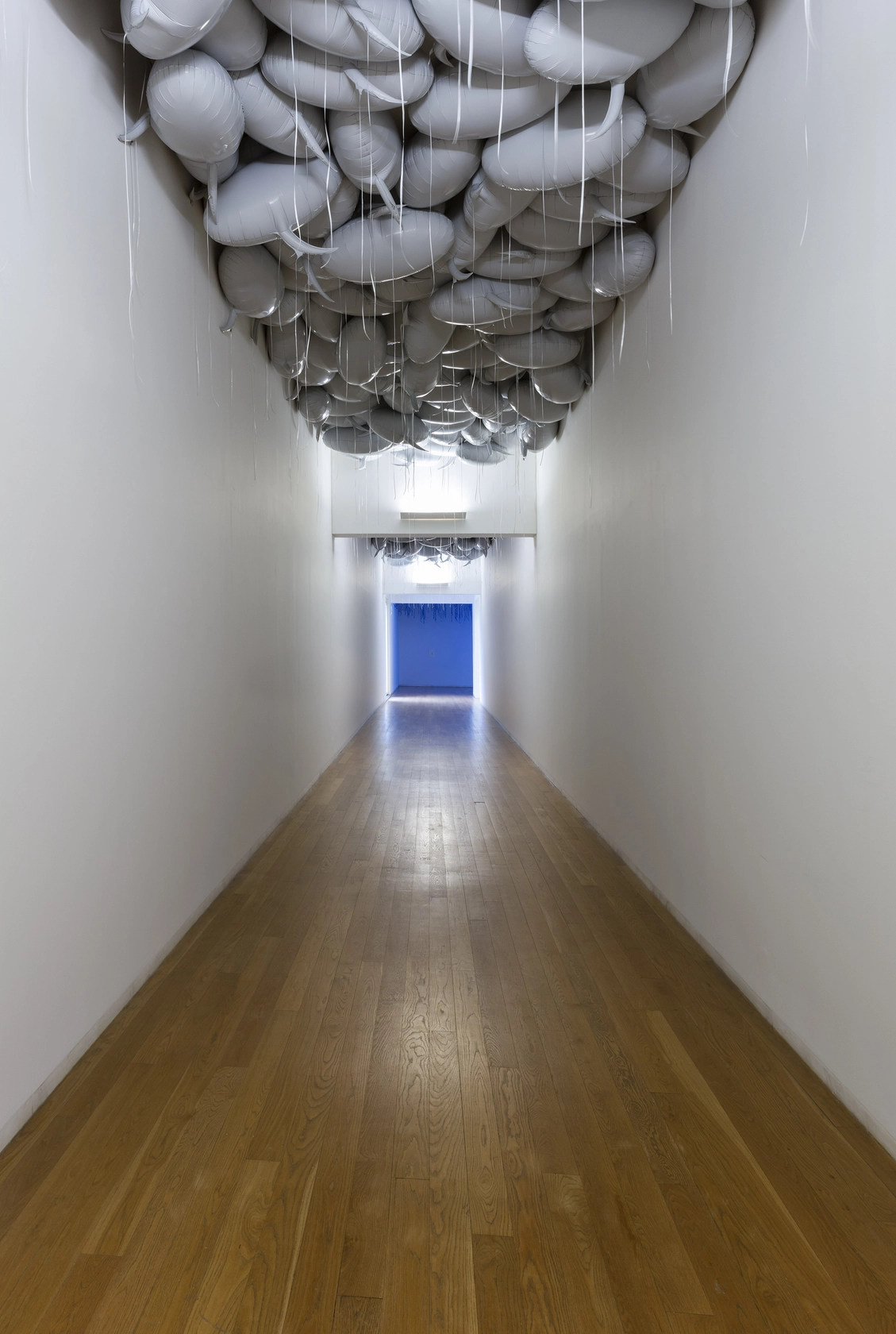 Exhibition view: A Time Coloured Space, Museu Serralves, Porto, 2016-17 Photo: © Andrea Rossetti