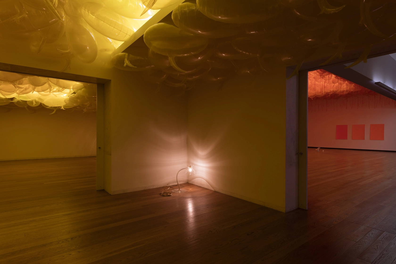 Exhibition view: A Time Coloured Space, Museu Serralves, Porto, 2016-17 Photo: © Andrea Rossetti