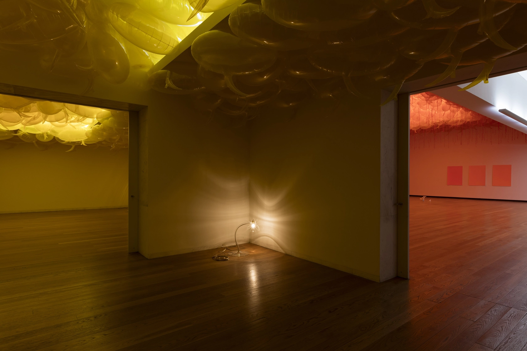 Exhibition view: A Time Coloured Space, Museu Serralves, Porto, 2016-17 Photo: © Andrea Rossetti