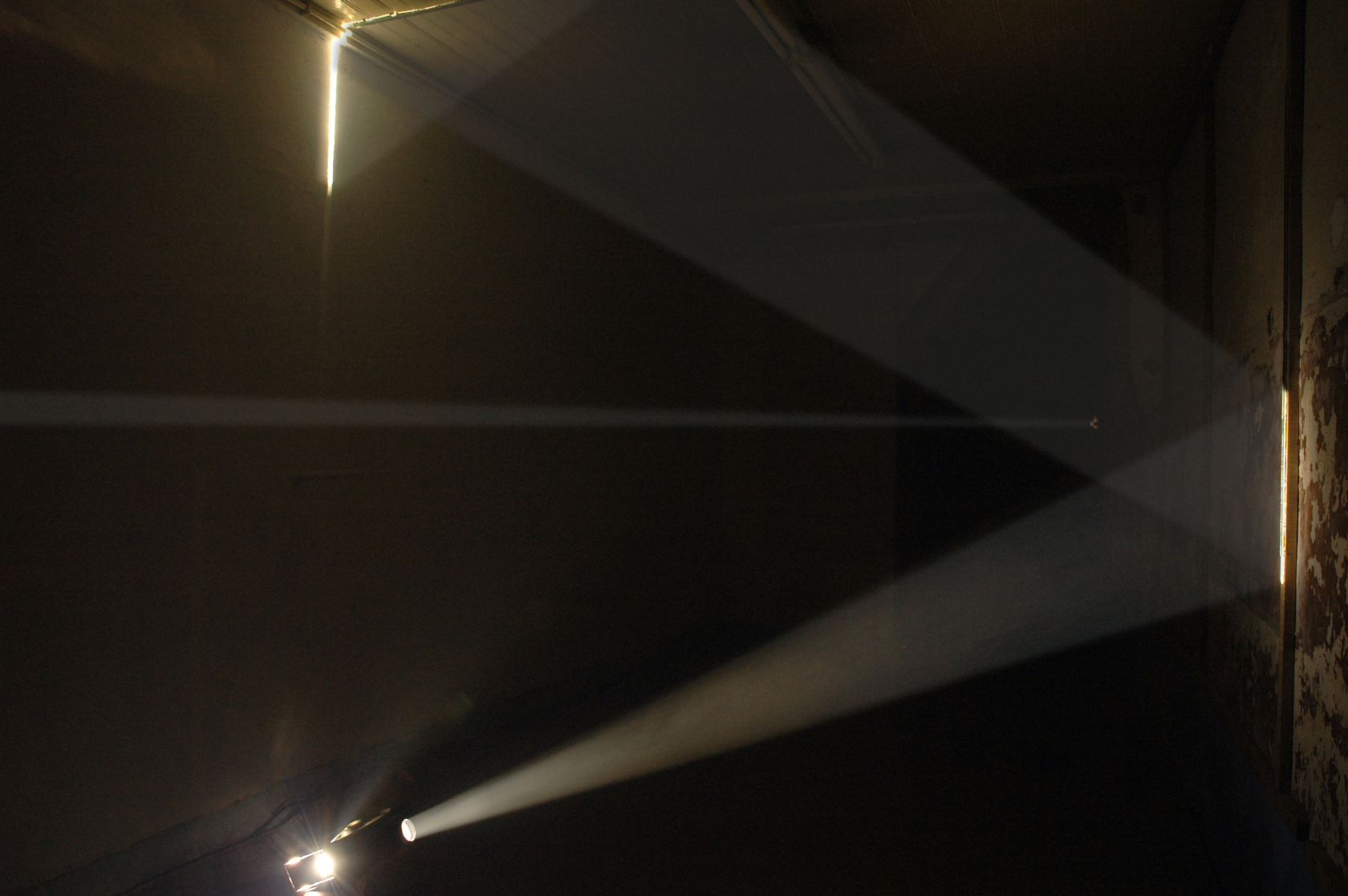 Bicho de nariz delicado, 2013 Two slide projectors, unique slides, mirrors, smoke, gilded canvas, phasmid Photo © Daniel Steegmann Mangrané