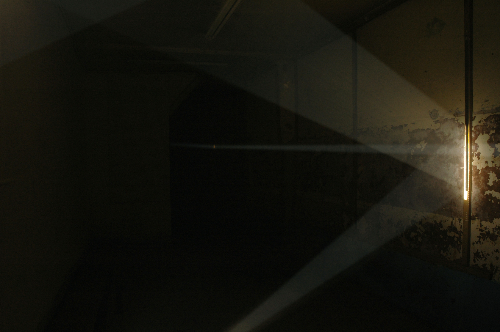 Bicho de nariz delicado, 2013 Two slide projectors, unique slides, mirrors, smoke, gilded canvas, phasmid Photo © Daniel Steegmann Mangrané