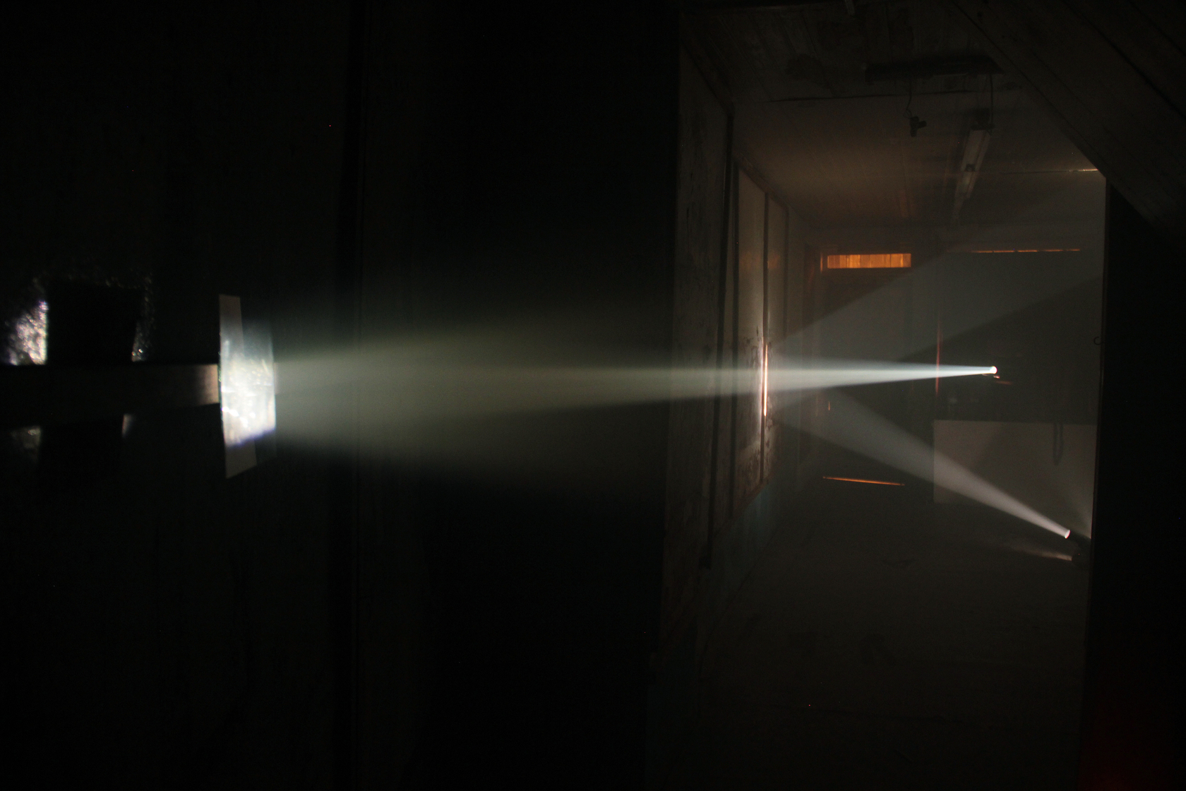 Bicho de nariz delicado, 2013 Two slide projectors, unique slides, mirrors, smoke, gilded canvas, phasmid Photo &copy; Daniel Steegmann Mangran&eacute;