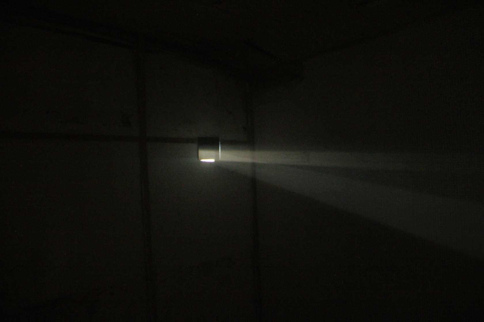 Bicho de nariz delicado, 2013 Two slide projectors, unique slides, mirrors, smoke, gilded canvas, phasmid Photo &copy; Daniel Steegmann Mangran&eacute;