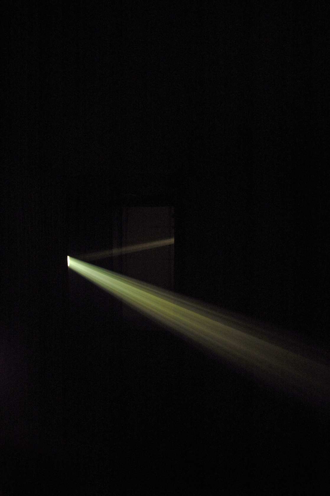 Bicho de nariz delicado, 2013 Two slide projectors, unique slides, mirrors, smoke, gilded canvas, phasmid Photo &copy; Daniel Steegmann Mangran&eacute;