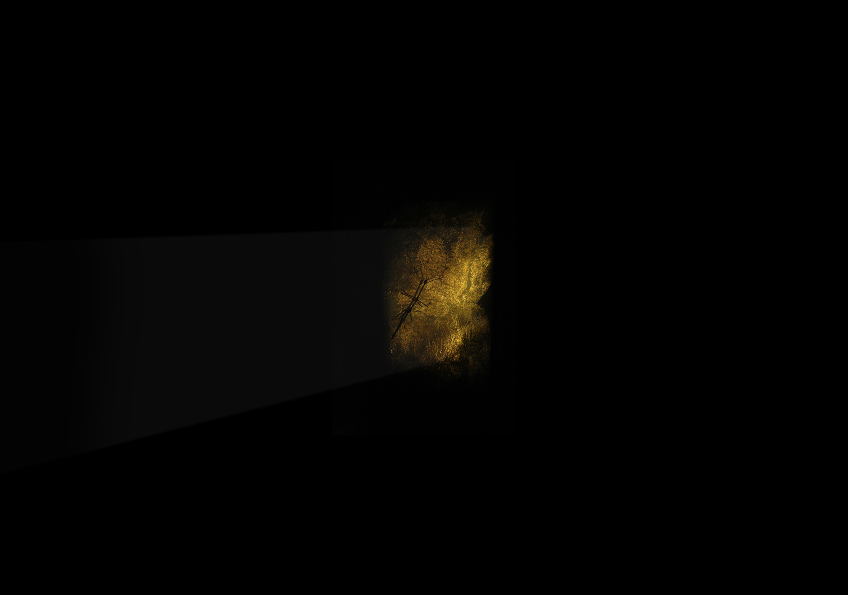 Bicho de nariz delicado, 2013 Two slide projectors, unique slides, mirrors, smoke, gilded canvas, phasmid Photo &copy; Daniel Steegmann Mangran&eacute;