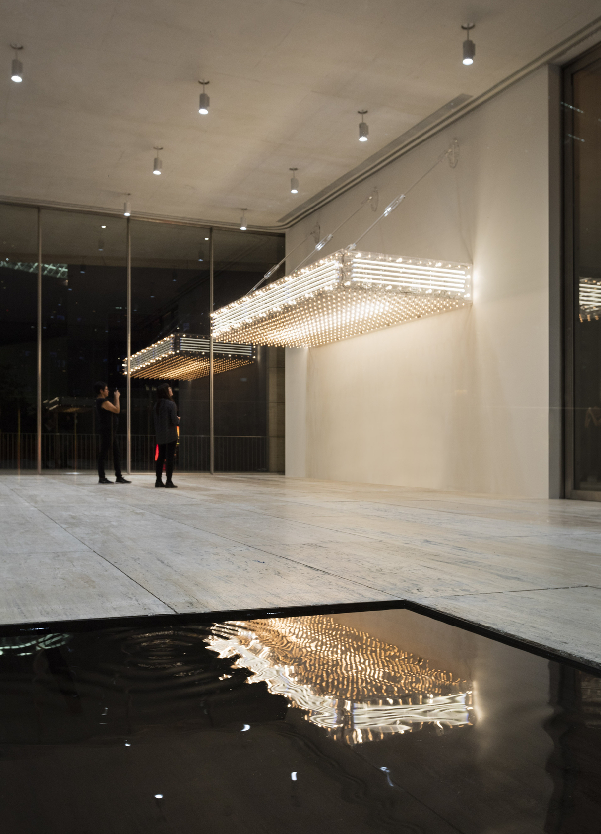 Above: Marquee, 2017 Transparent Plexiglas, bulbs, neons 643,8 x 226,9 x 284,6 cm Collection Jumex Below: Black Water Lilies, 2017...