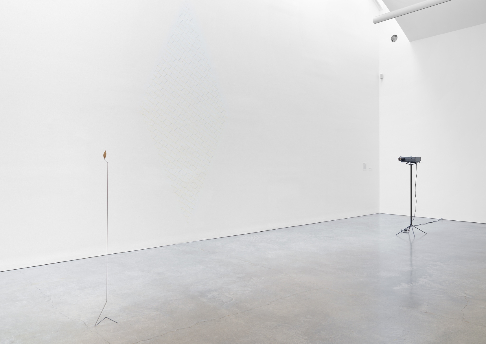 Elegancia y renuncia, 2011 Dried leaf (ficus elastica japonicum), metal stands and slide projection Dimensions variable Exhibition view: Daniel Steegmann...