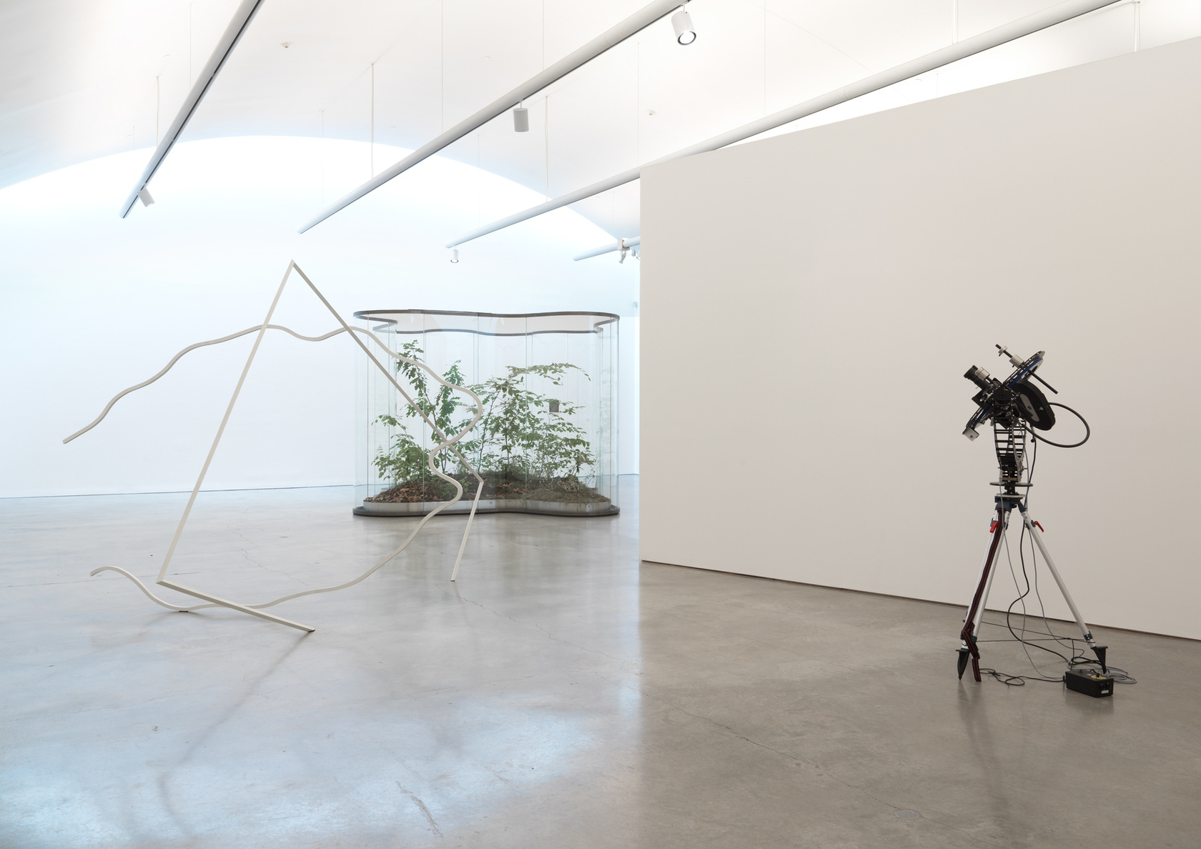 Exhibition view: Daniel Steegmann Mangrané, A Transparent Leaf Instead of the Mouth, CCS Bard Galleries, Bard College, Annandale-on-Hudson, 2018 Photo...