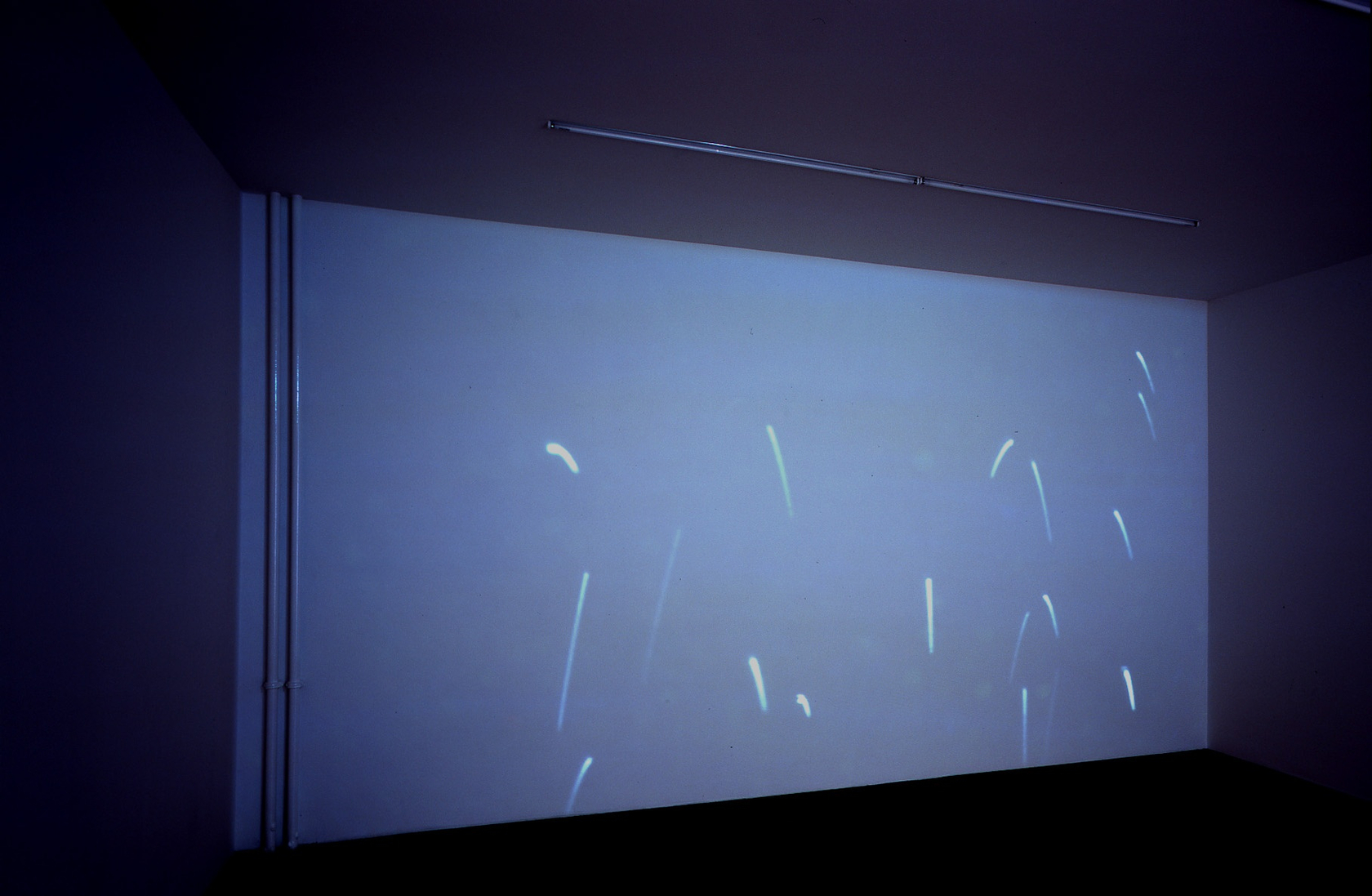 Apollinaris, 2005 DVD, DVD-player, projector 10:21 min duration Photo © Carsten Eisfeld