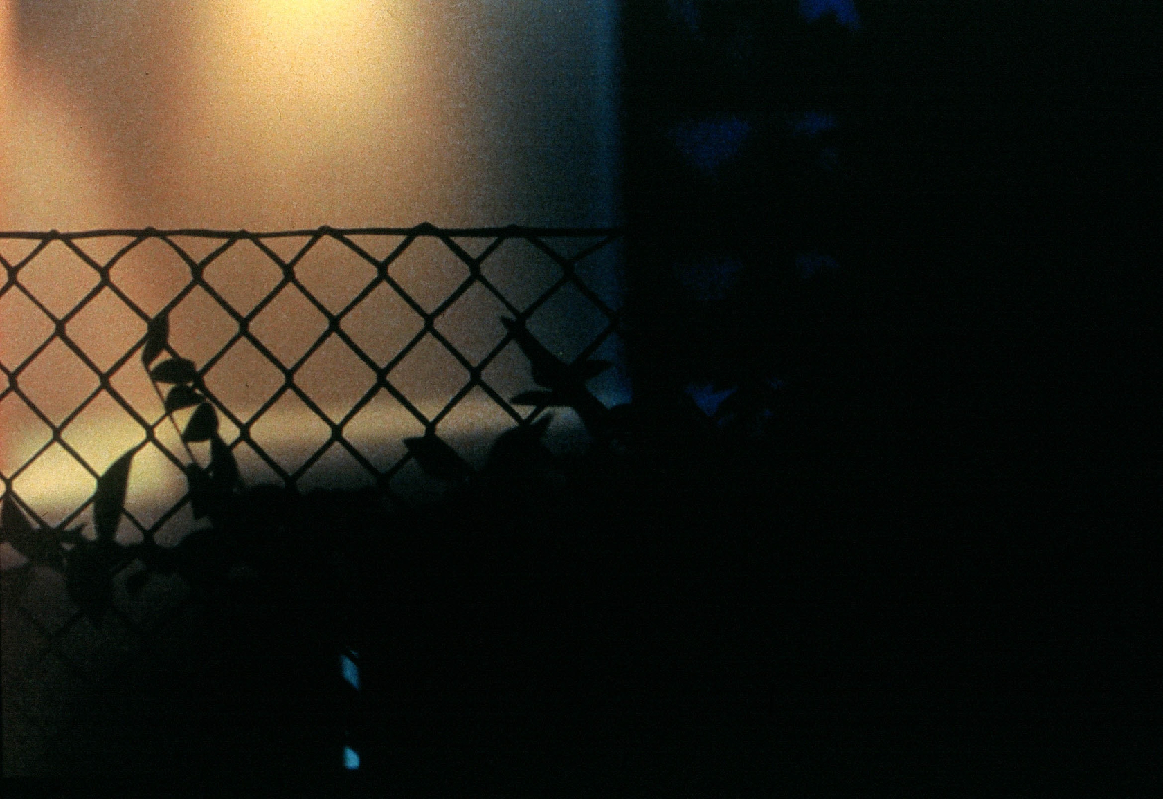 Thomas Demand, Hof/Yard, 2002 (film still). Exhibition view: Yard, Schipper & Krome, Berlin, 2002. Film still &copy; Thomas Demand