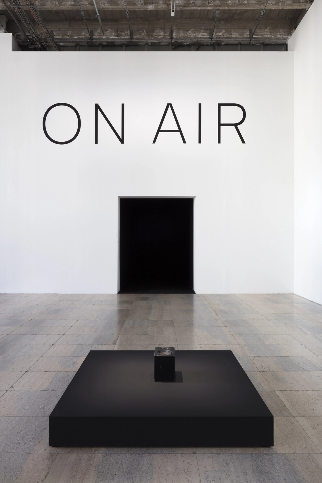 Event Horizon The installation consists of a spider web woven by a spider from the Palais de Tokyo, and a...