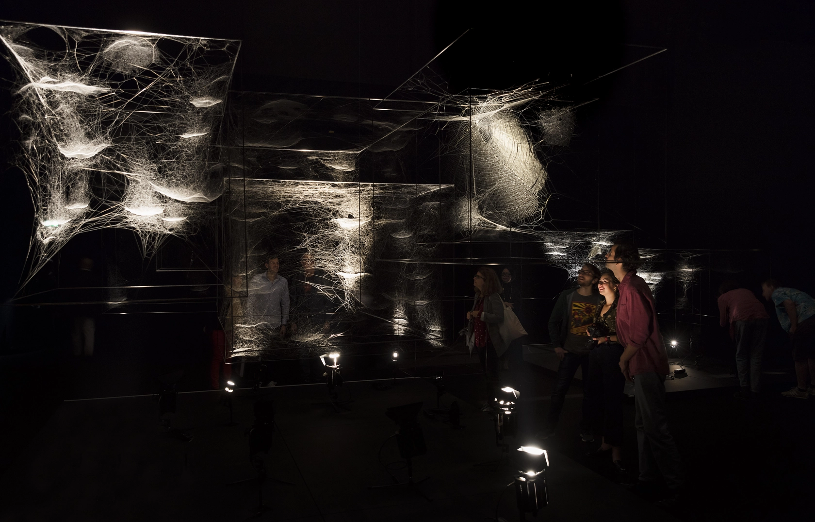 Webs of At-tent(s)ion, 2018 Made up of 76 hybrid spider webs – sculptures interwoven by different spider species where individual...