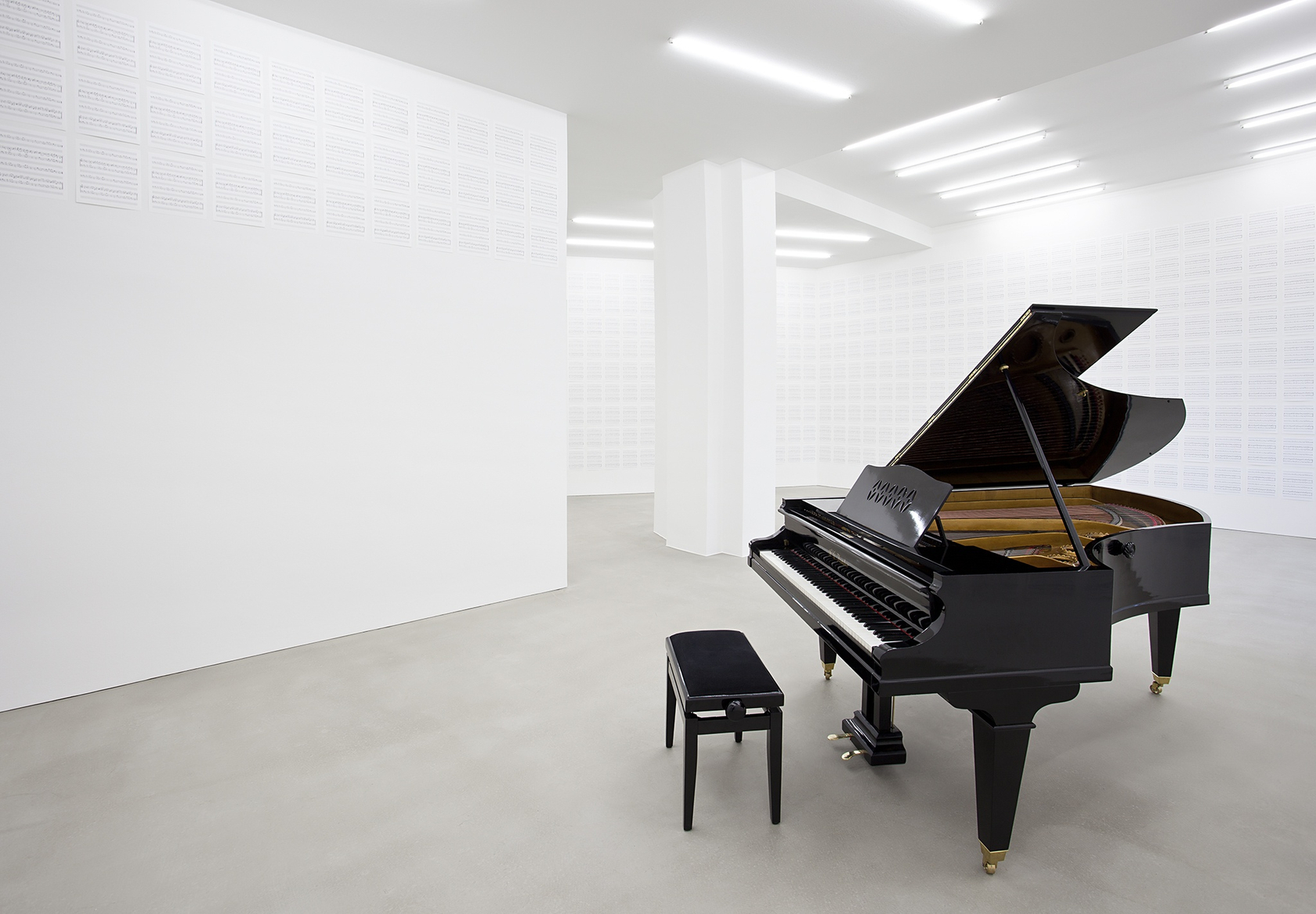 The New Empirical (840hz), 2013 Modified grand piano (Irmler, Leipzig 1893), custom-made tuning fork The grand piano is manipulated to...