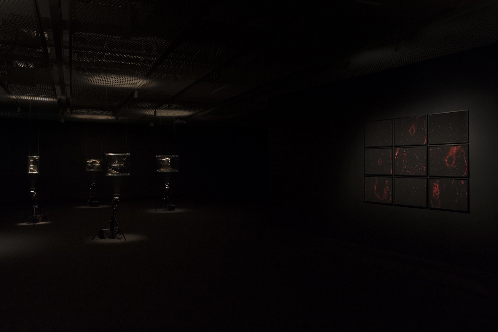 Exhibition view: Aerographies, Fosun Foundation, Shanghai, 2018 Photo &copy; Andrea Rossetti