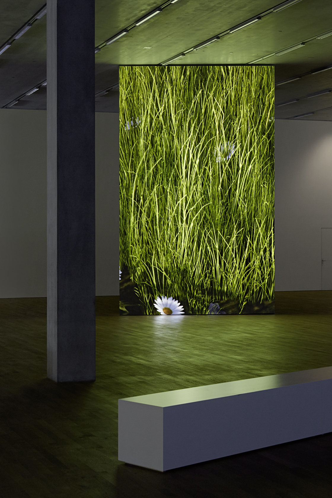 Olympia (The Real Time Disintegration Into Ruins Of The Berlin Olympic Stadium Over The Course Of A Thousand Years), 2016...