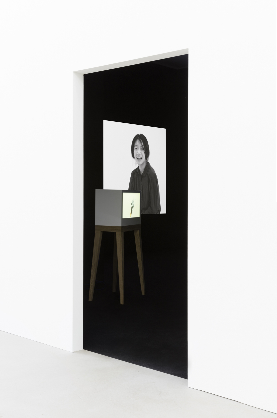 Tao Hui Excessive, 2015 HD video (color, sound), glass, projector, silica gel, iron, wood Duration 19:32 min The work centers...