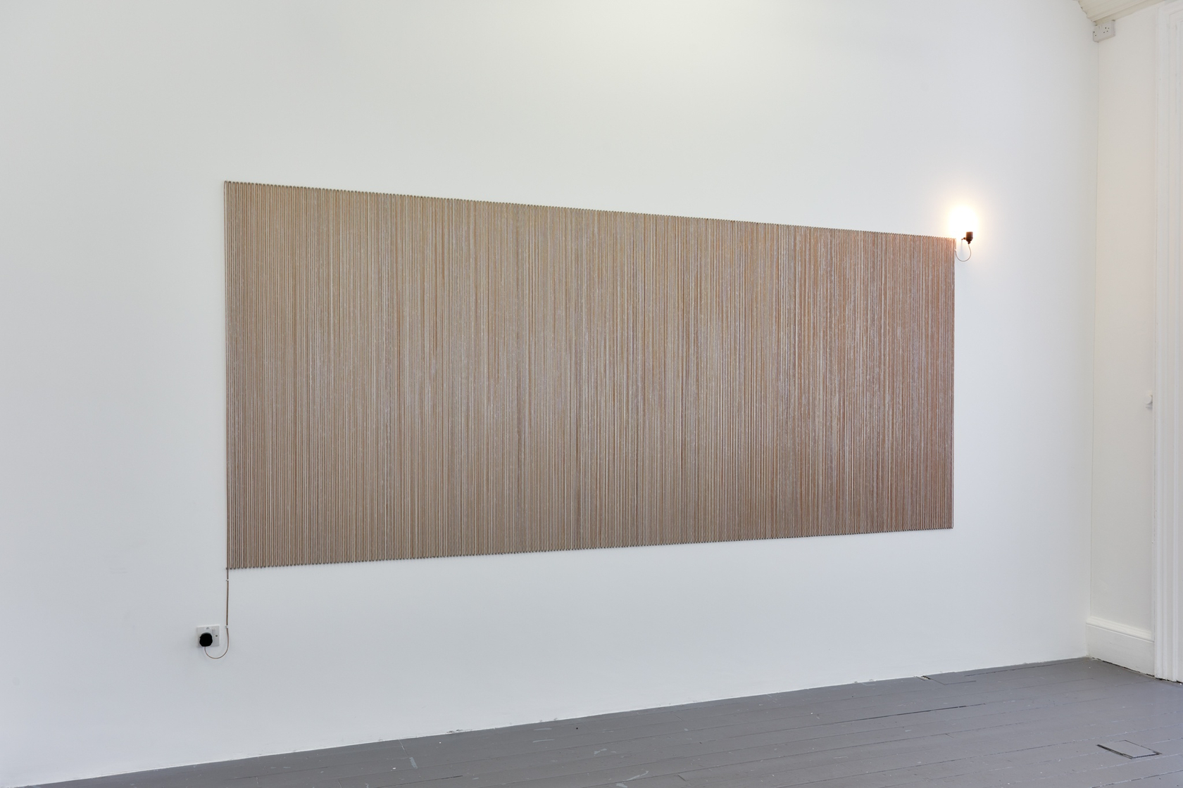 Special Light, 2017 Copper wire, light bulb and socket, nails and plug Dimensions variable Photo © IMMA