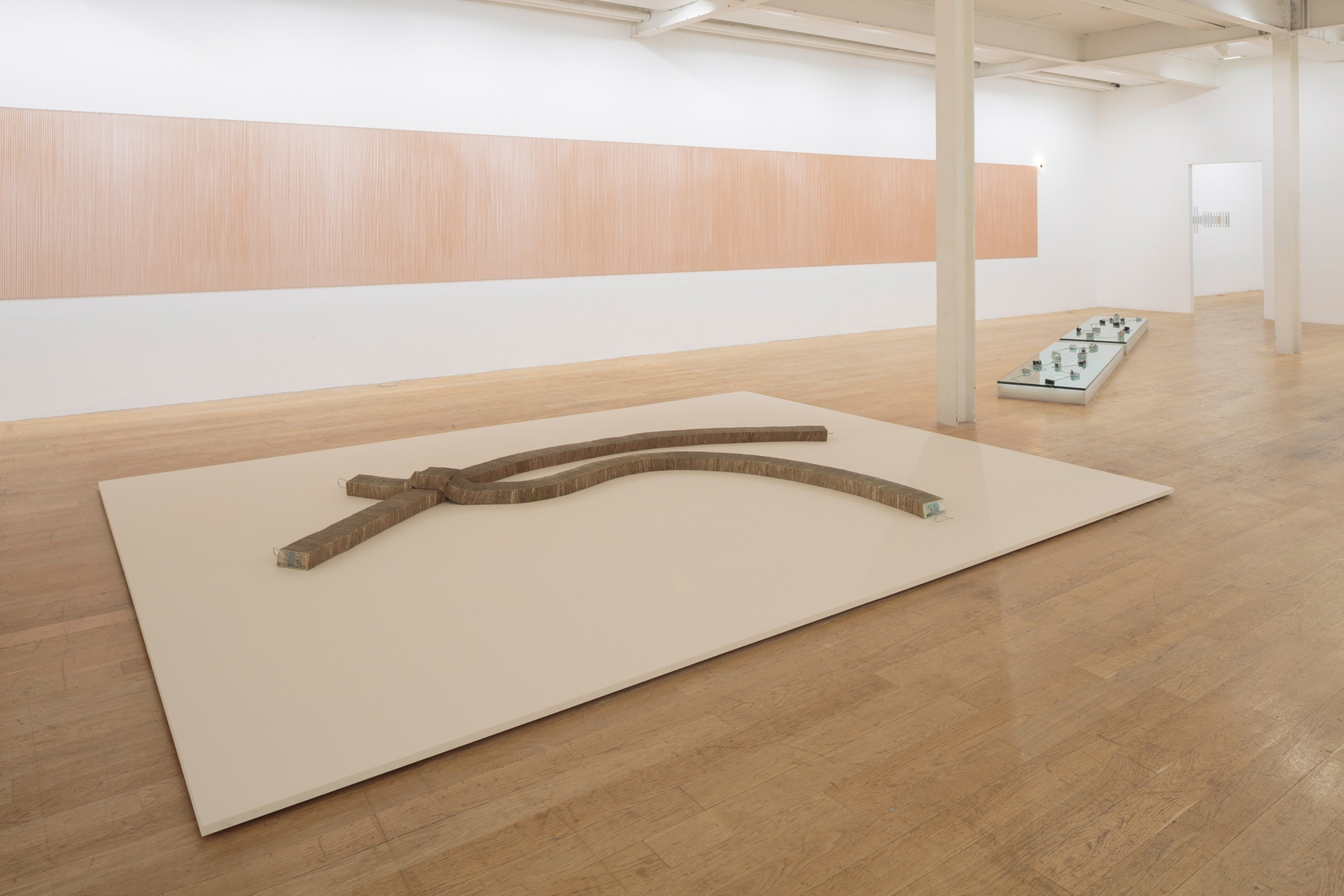 Exhibition view: Jac Leirner, Add It Up, The Fruitmarket Gallery, Edinburgh, 2017 Photo © Ruth Clark