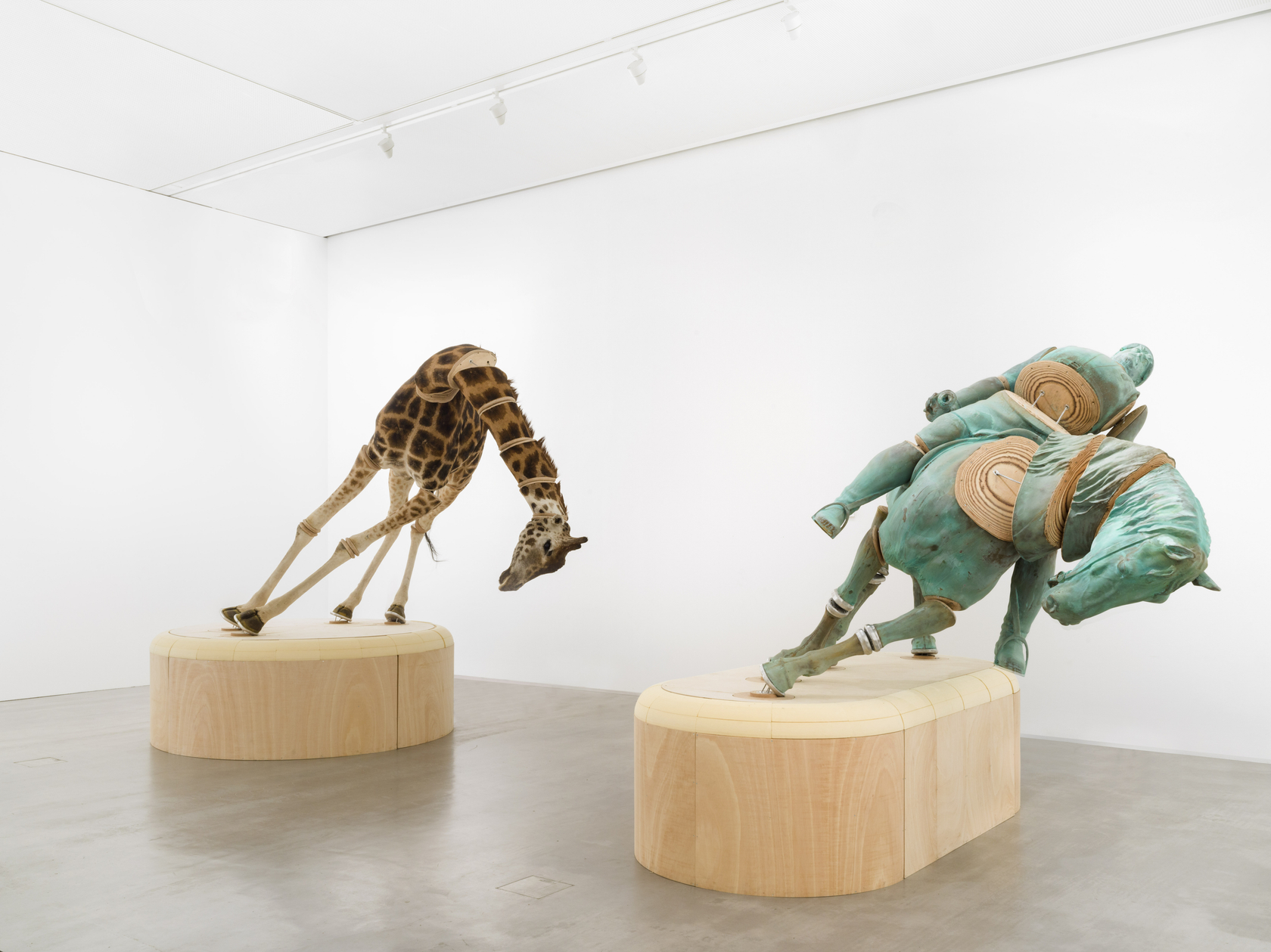 Exhibition view: Julius von Bismarck, When Platitudes Become Form, Berlinische Galerie, 2023. Photo © Roman März