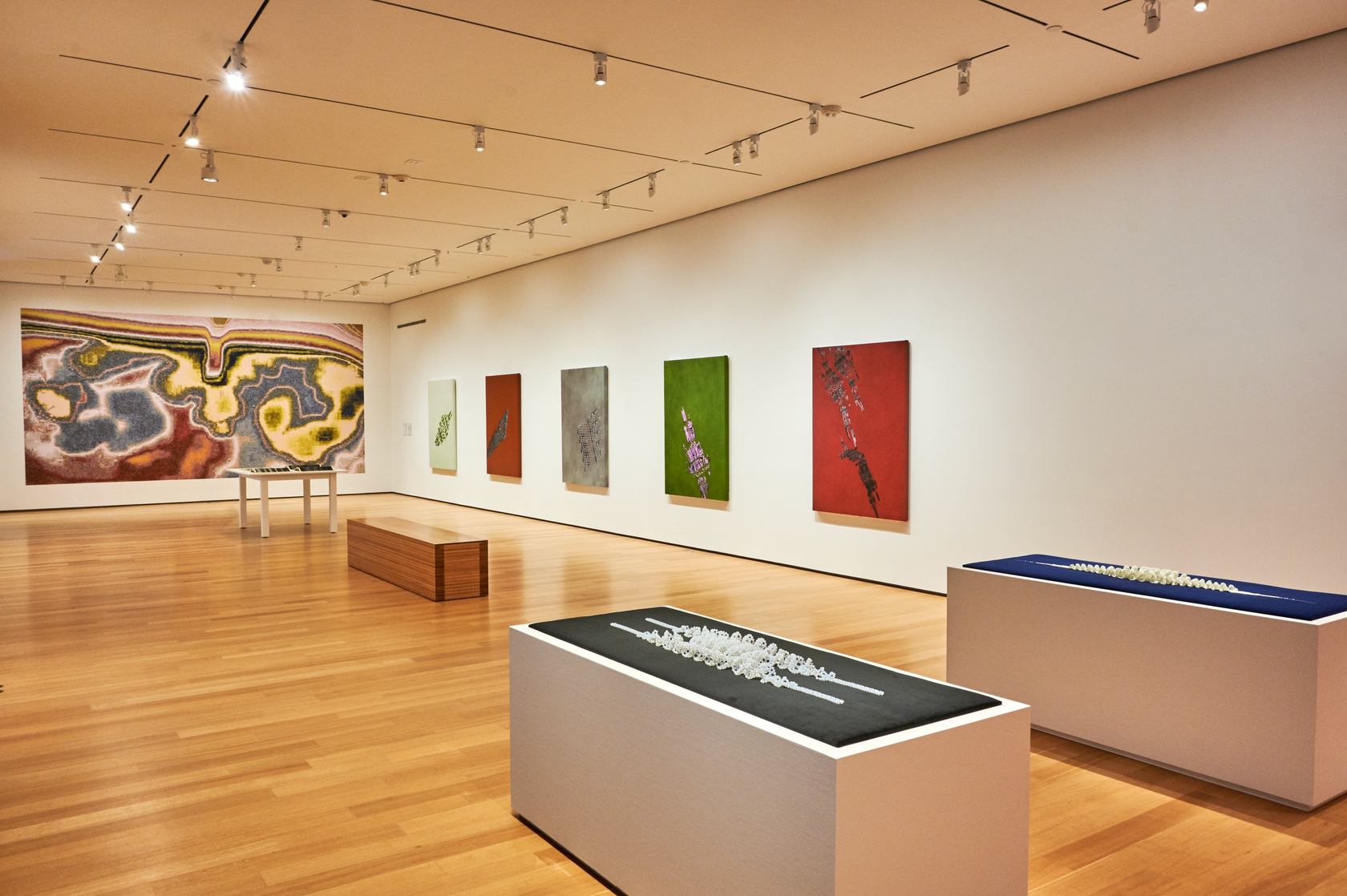 Tauba Auerbach & Yuji Agematsu, Meander, The Clark Institute, Williamstown, 2022. Photo: Thomas Clark