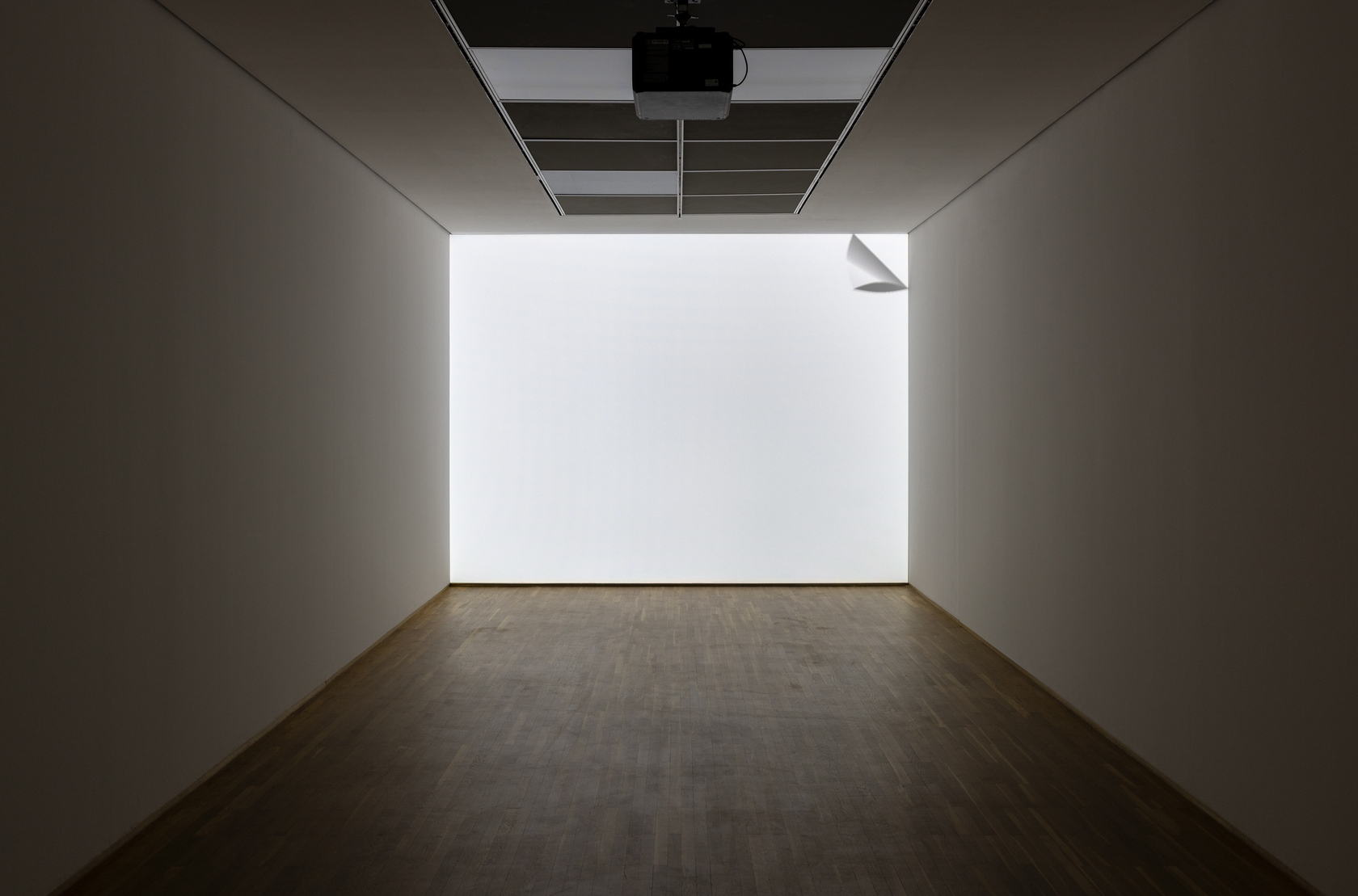Ceal Floyer, Peel, 2003 DVD-projection/installation (silent loop), DVD, DVD-player, projector Exhibition view: Under Construction, Hamburger Bahnhof, Berlin, 2022 Photo ©...