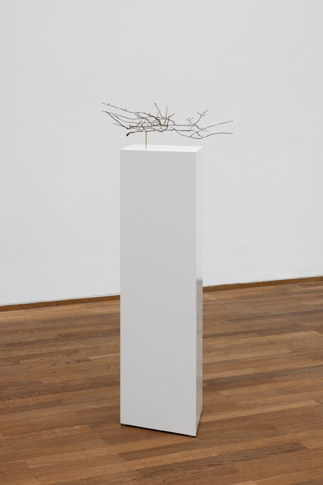 Daniel Steegmann Mangrané, Geometric Nature/Biology, 2022 Split beech branch 15 x 58 x 42 cm (5 7/8 x 22 7/8...