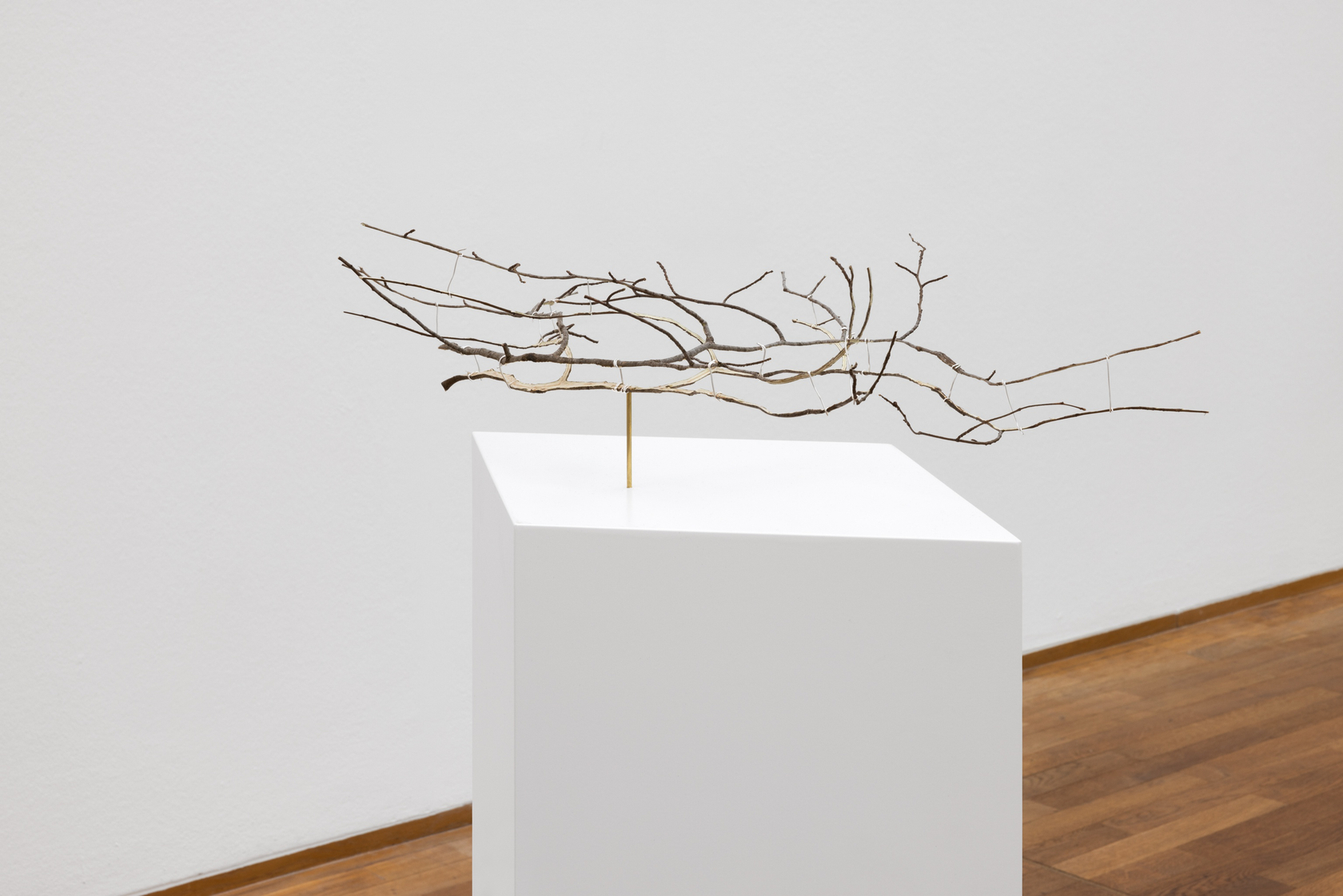 Daniel Steegmann Mangrané, Geometric Nature/Biology, 2022 Split beech branch 15 x 58 x 42 cm (5 7/8 x 22 7/8...