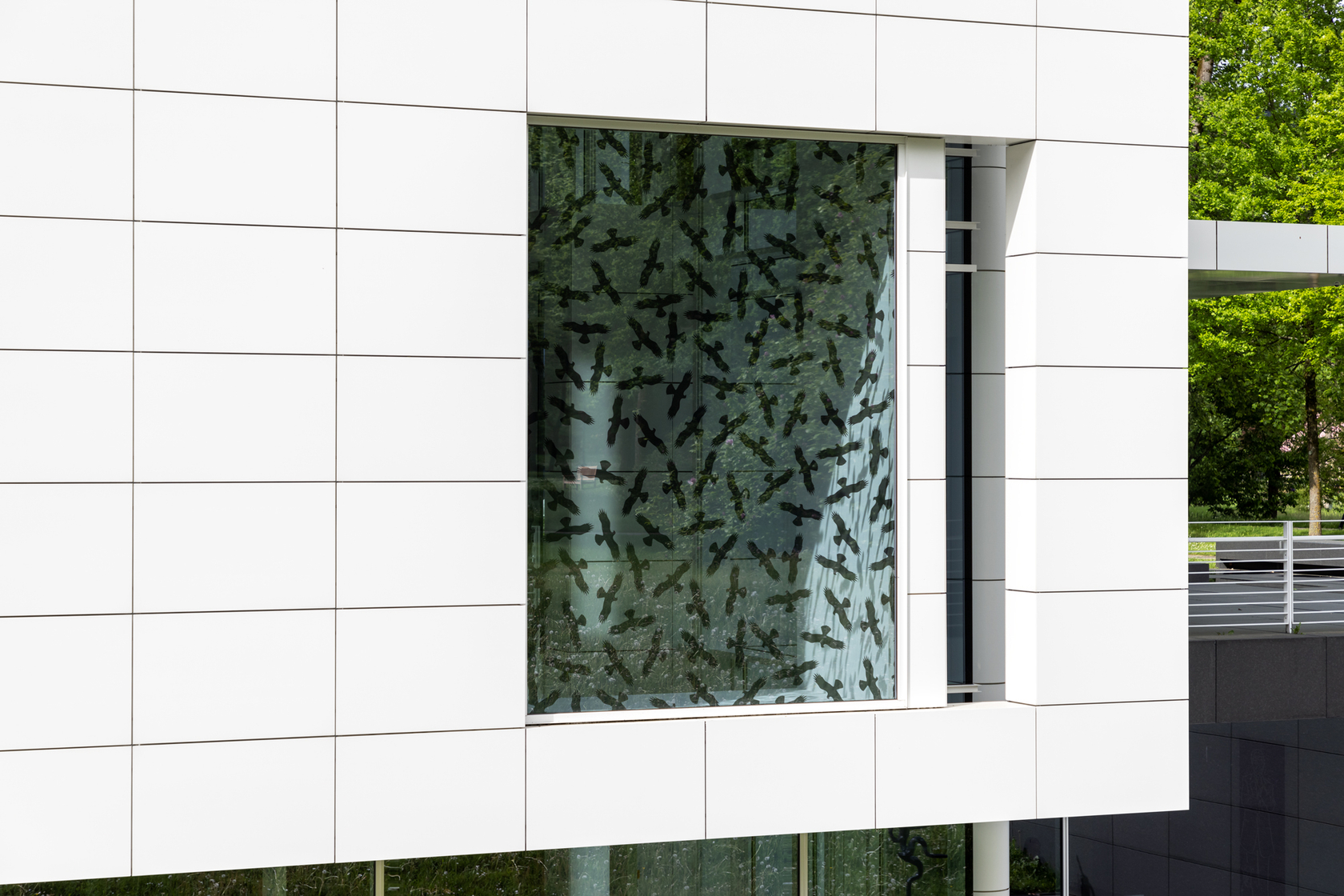 Exhibition view: THE KING IS DEAD, LONG LIVE THE QUEEN, Museum Frieder Burda, Baden-Baden. Photo © Nikolay Kazakov / Museum...