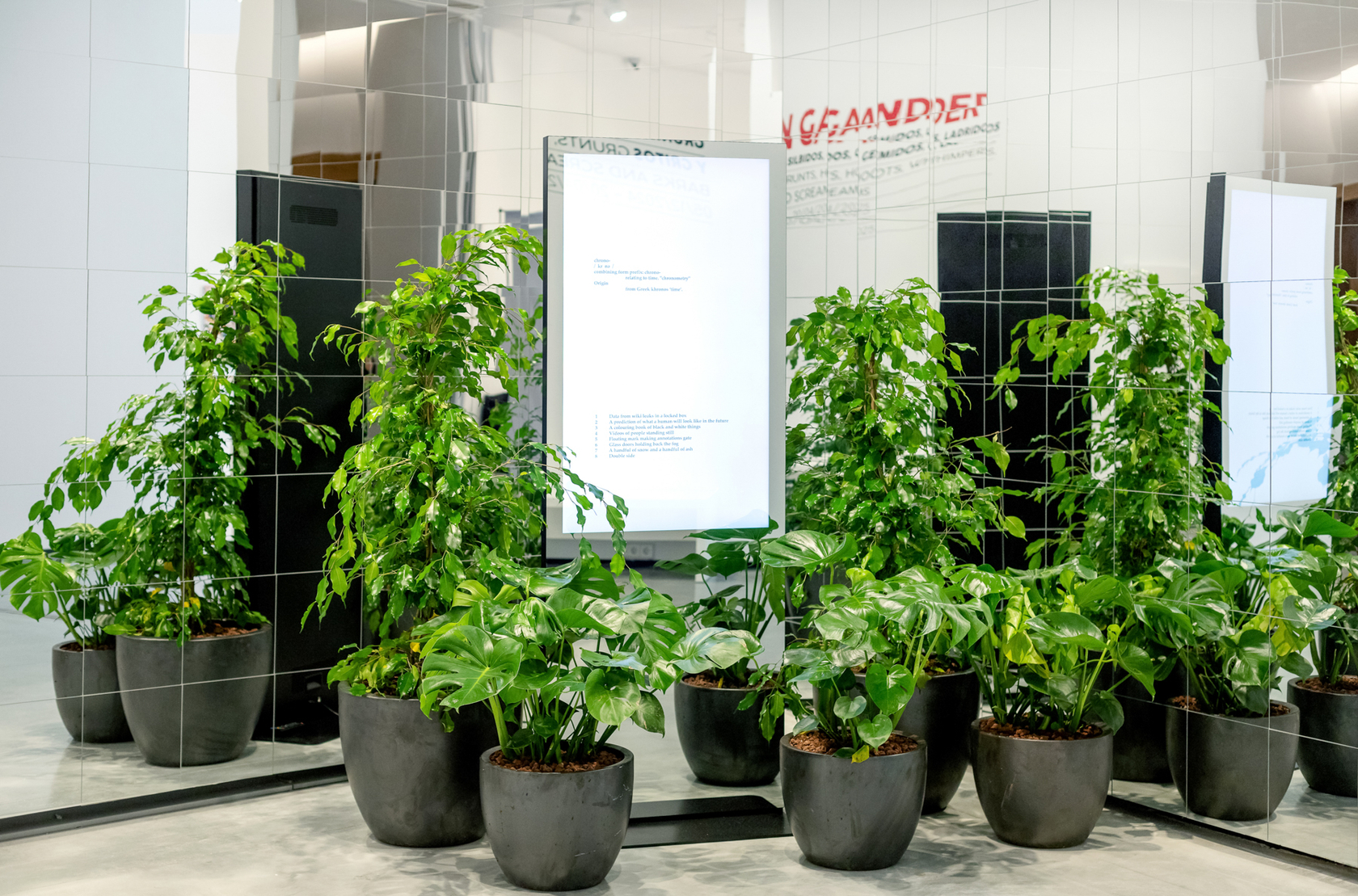 Exhibition view: Ryan Gander, Grunts, hoots, whimpers, barks and screams, Helga de Alvear Museum, C&aacute;ceres, 2024. Photo &copy; Tania Castro